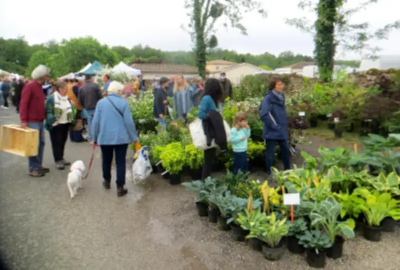 Marché aux fleurs à Saucats : un succès printanier pour Le Sambucus