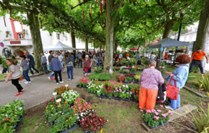 Marché aux plantes : ultime jour pour profiter des Floralies de Garein