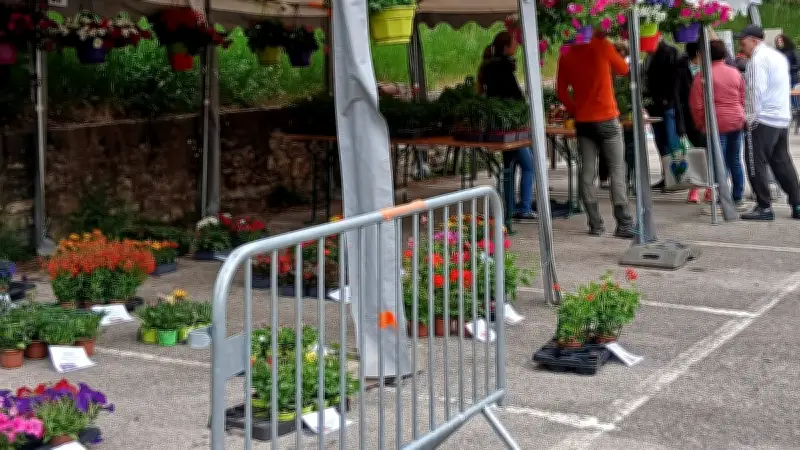 Marché aux plants réussi à Saint-Rome-de-Cernon malgré la concurrence