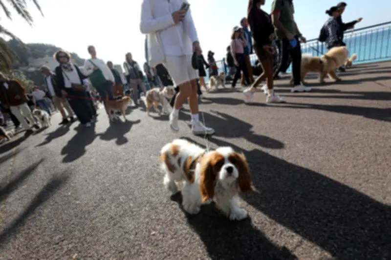 Marche des animaux à Nice : déambulation conviviale sur la Promenade des Anglais