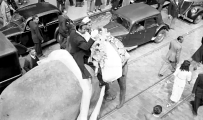 Mariage royal au cirque : Josette Bouglione épouse Roland Prin à dos d'éléphant à Bordeaux