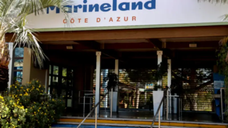 Marineland d'Antibes : le transfert des orques et dauphins vers l'Espagne se précise