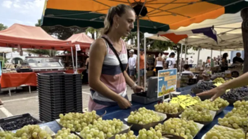 Marseillan : marchés estivaux, saveurs et convivialité au rendez-vous