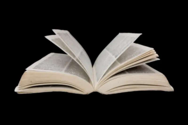 «Matricé», «crusher», «instavidéaste» : nouvelles entrées du dictionnaire