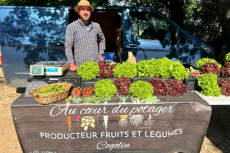 Maxime Bauve, maraîcher bio en circuit ultra-court à Cogolin