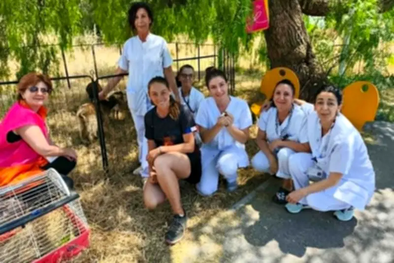 Médiation animale à l'hôpital George-Sand : tendresse et sourires