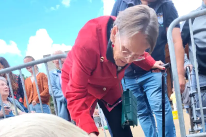Médiation animale : une cochonne réunit enfants et seniors à La Croix-Valmer
