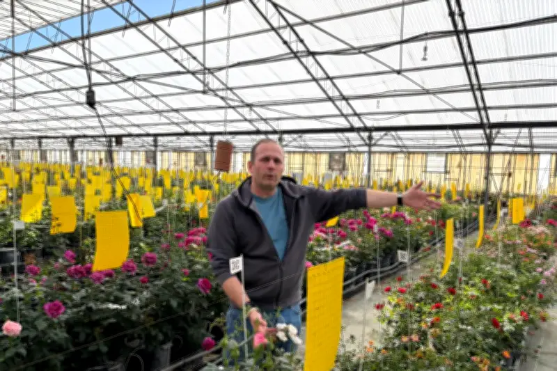 Meilland International : le rosiériste varois vise le marché chinois