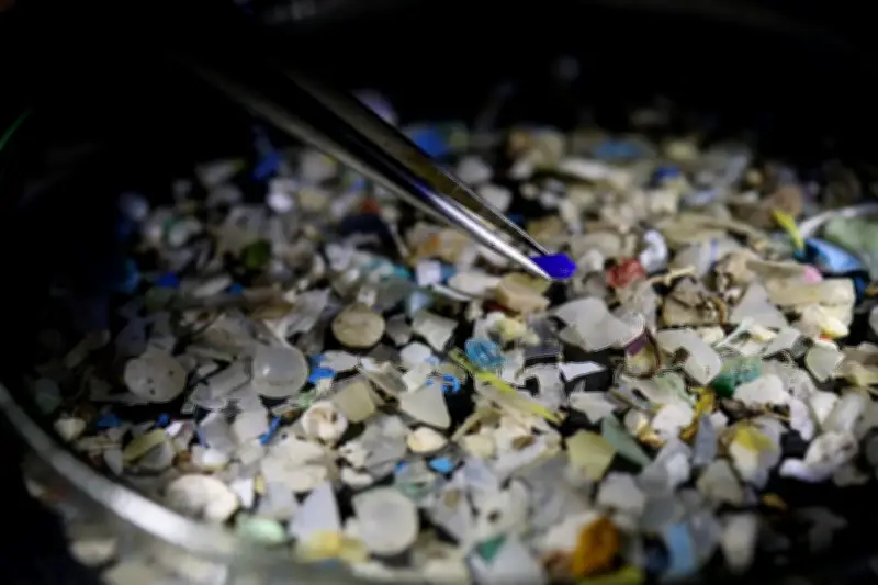 Micro et nanoplastiques accélèrent le réchauffement climatique