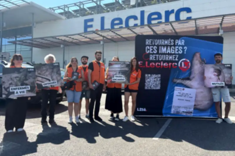 Militants de L214 retournent 150 barquettes de viande au Leclerc de La Seyne