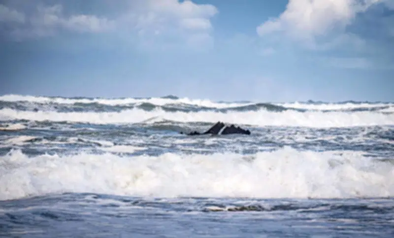 Mimizan : l'épave du pétrolier grec Apollonian Wave réapparaît 44 ans après