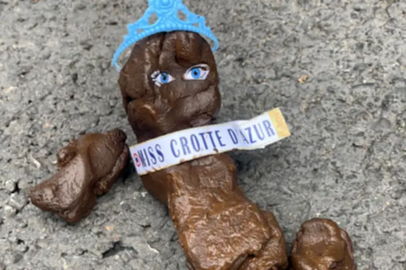 « Miss crotte d’Azur » : l’expo choc de Toolate à Nice