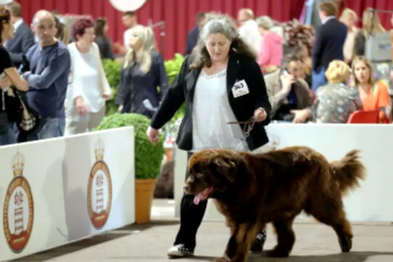 Monaco : 1.358 chiens de 258 races à l'Exposition canine internationale