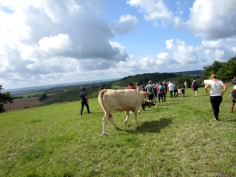 Monbahus pour tous : un printemps riche en activités à la salle du Fort