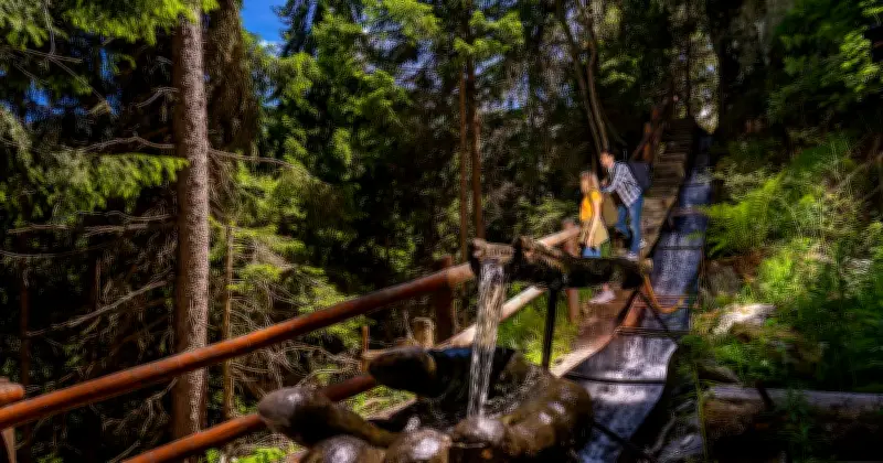 Montagne en été : un nouveau tournant pour les vacances en France