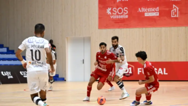 Montpellier déjà qualifié prépare sa demi-finale sans pression