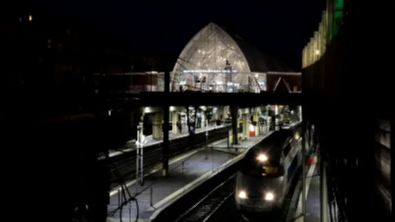 Montpellier : ivre, il vole un bagage et exhibe un taser près de la gare
