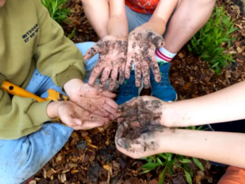 Mouguerre : les enfants initiés au jardinage pour embellir leur cour