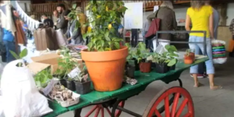 Mouguerre : marché de printemps festif au trinquet Ibar ce dimanche