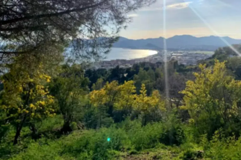 Météo Alpes-Maritimes : ciel voilé ce samedi 2 mai 2026