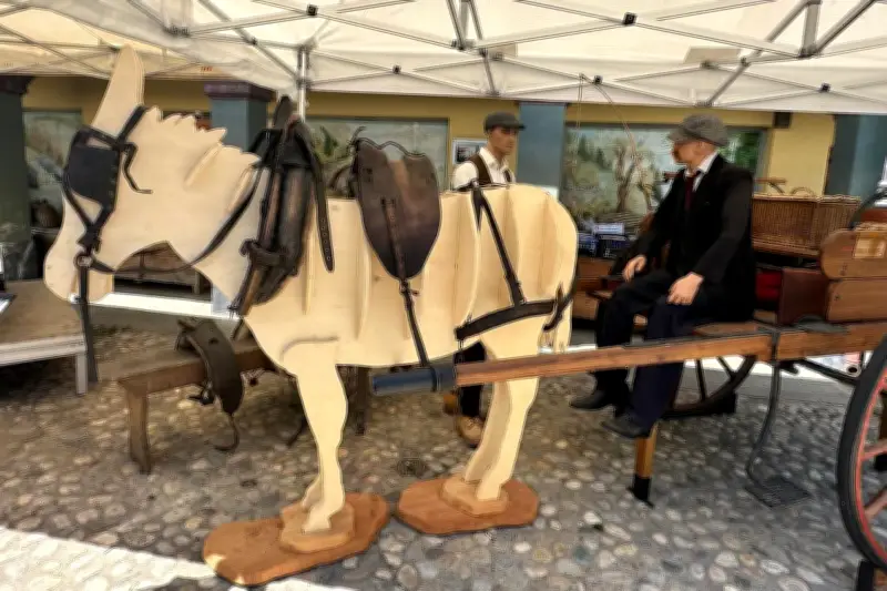 Musée de la Brigue : immersion sonore et nouveaux trésors pour sa réouverture
