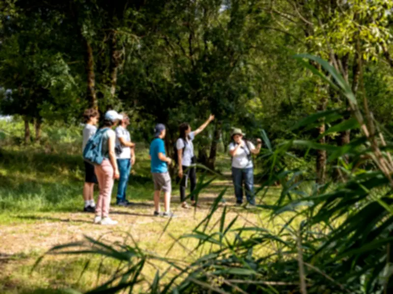 Nature en fête : week-end découverte à Terres d’oiseaux
