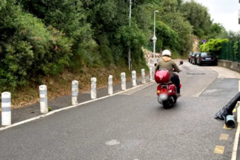 Nice : 450 000 euros pour sécuriser l'avenue Cyrnos
