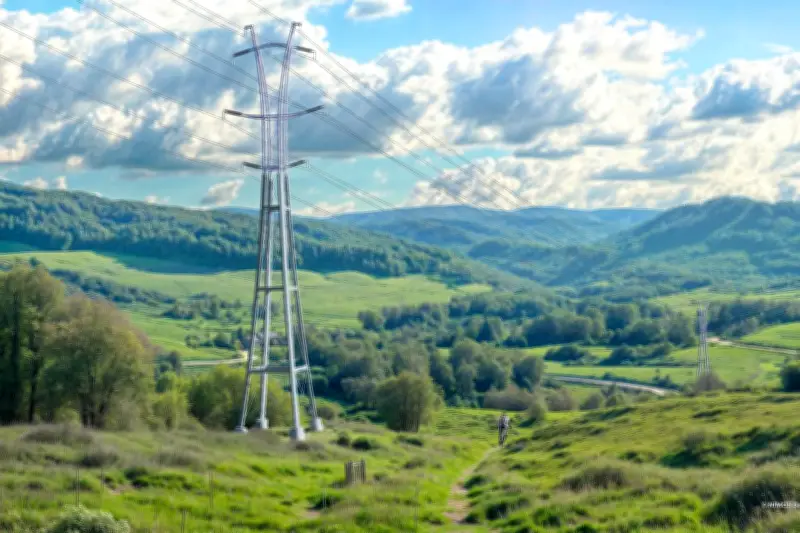 Nouveaux pylônes électriques bio-inspirés : RTE dévoile son design pour 2040