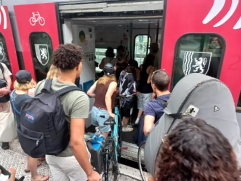 Nouvelle-Aquitaine : réservation vélo obligatoire sur 11 lignes TER dès le 1er mai