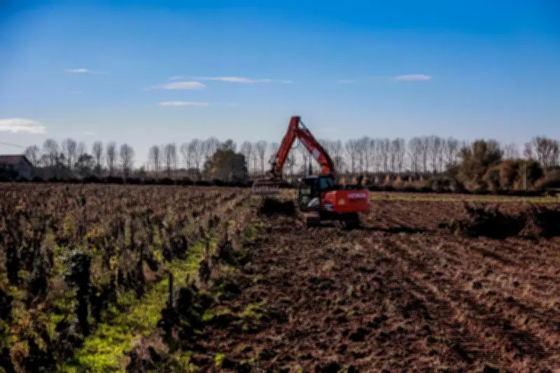 Nouvelle-Aquitaine : une foncière pour racheter les vignes en crise