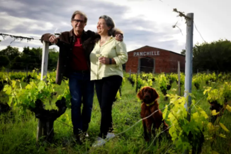 Nouvelle génération de vignerons redessine l'avenir du blanc à Pessac-Léognan