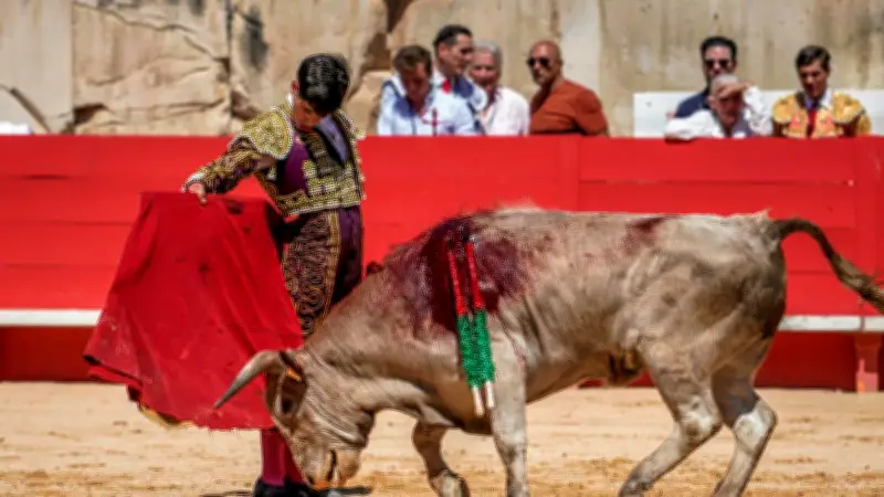 Novillada non piquée : l'école de la tauromachie à Nîmes
