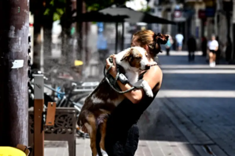 Nérac et Villeneuve-sur-Lot : pics de chaleur à 30,6°C le 21 mai