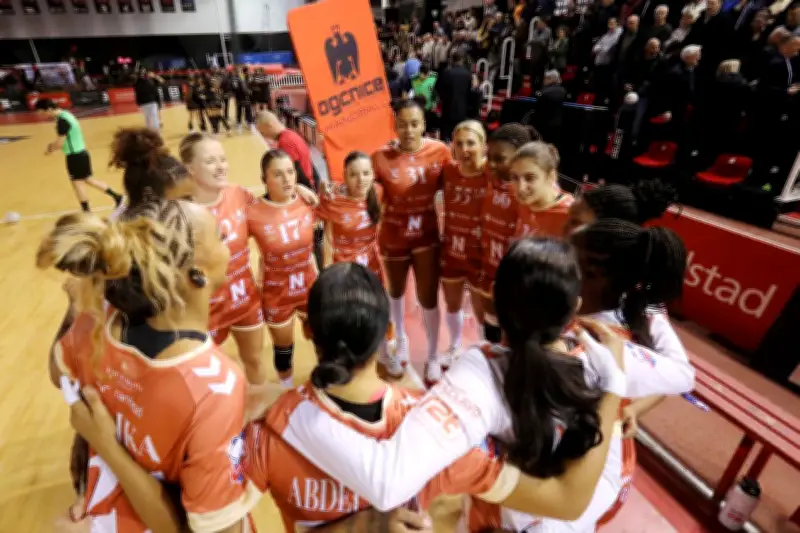 OGC Nice handball : viser le Top 5 avant le choc contre Besançon