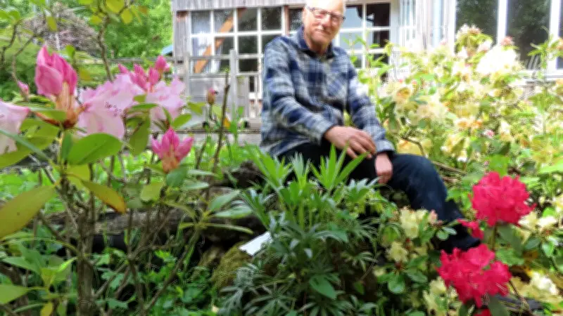 Oise : le jardin Van Beek aux 20 000 tulipes rêve de la télé