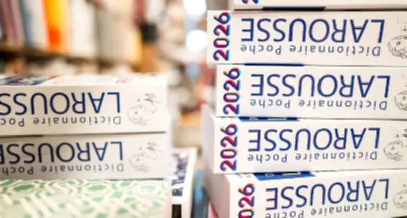 Onigiri, crush, instavidéaste : les nouveaux mots des dictionnaires 2027