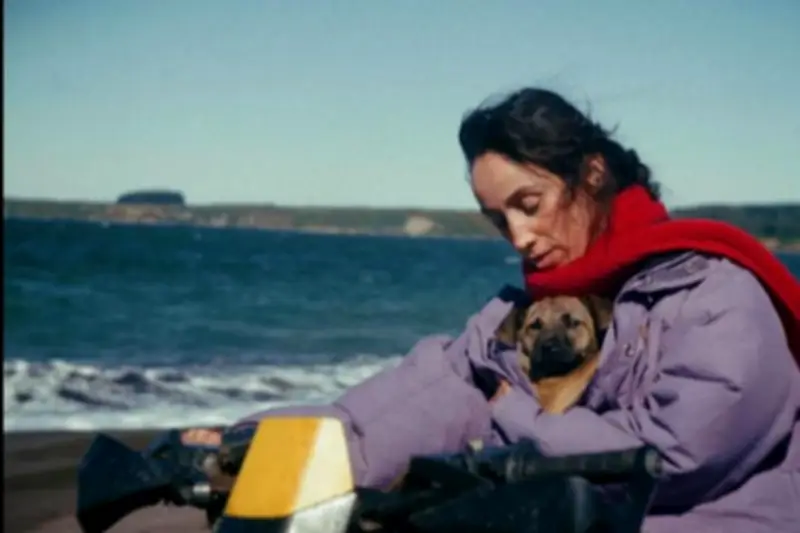 Palm dog 2026 : Yuri, chien de « La Perra », remporte le prix canin à Cannes