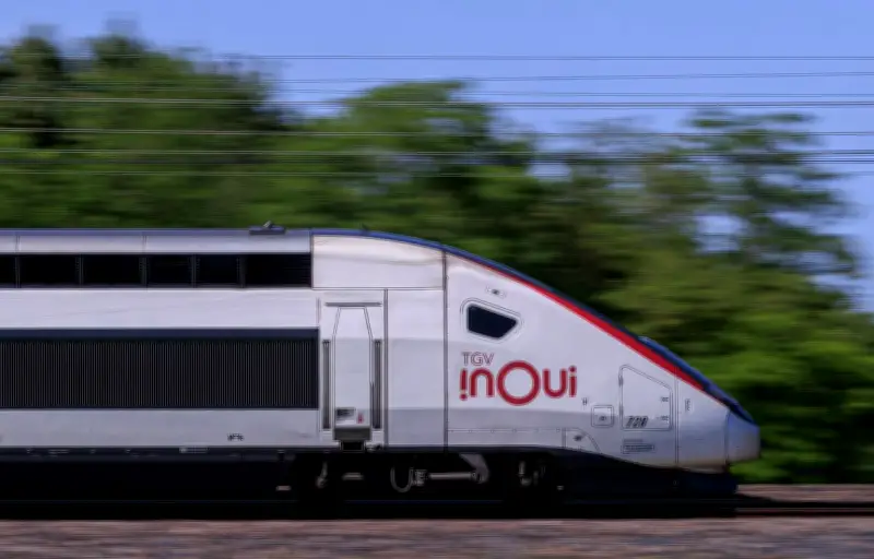 Panne électrique géante : deux TGV bloqués en pleine canicule à Lyon