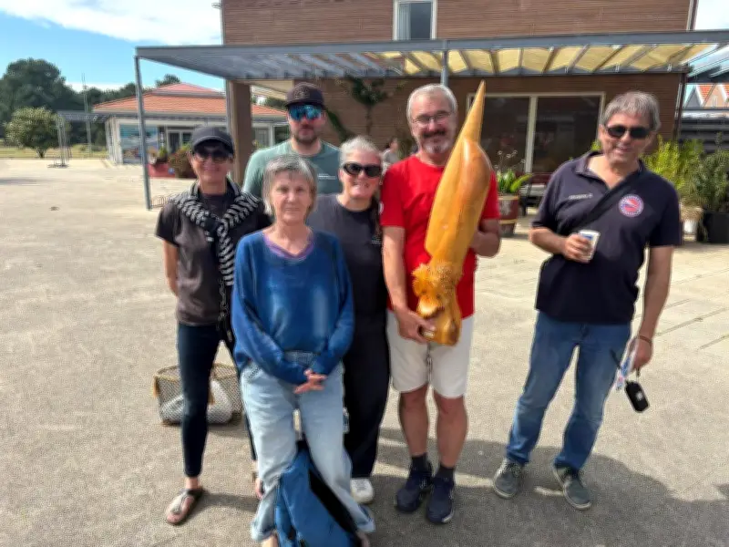Pauillac : la Voile et Cercle nautique brille sur l'estuaire