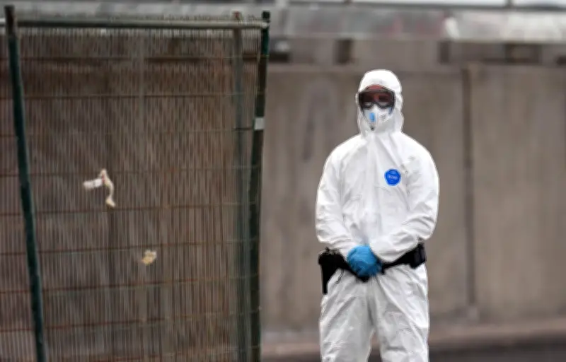 Pays-Bas : 12 soignants en quarantaine après une erreur de procédure face à un cas d'hantavirus