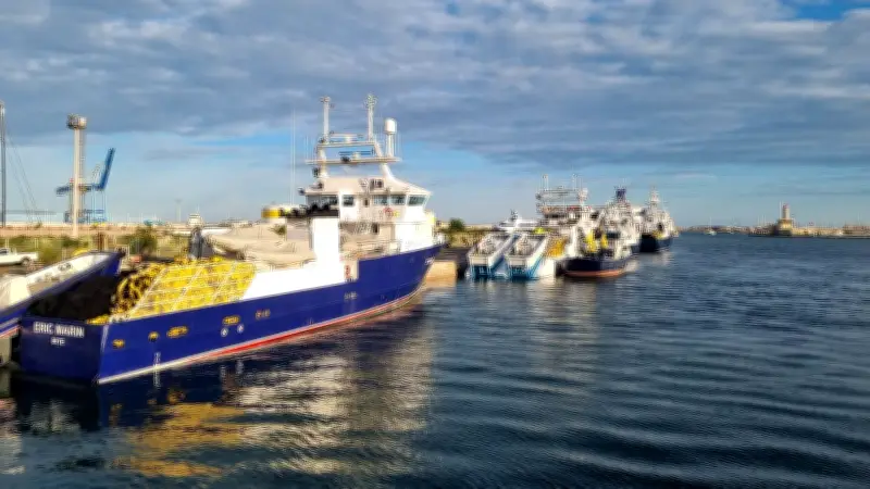 Pêche au thon : quotas en hausse mais rentabilité menacée par le carburant