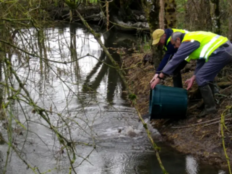 Pêcheurs du sud Charente : entre passion et défis écologiques