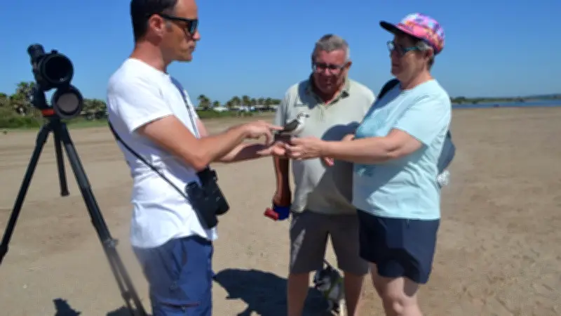 Plage de Sérignan : cohabitation délicate entre hommes et oiseaux nicheurs