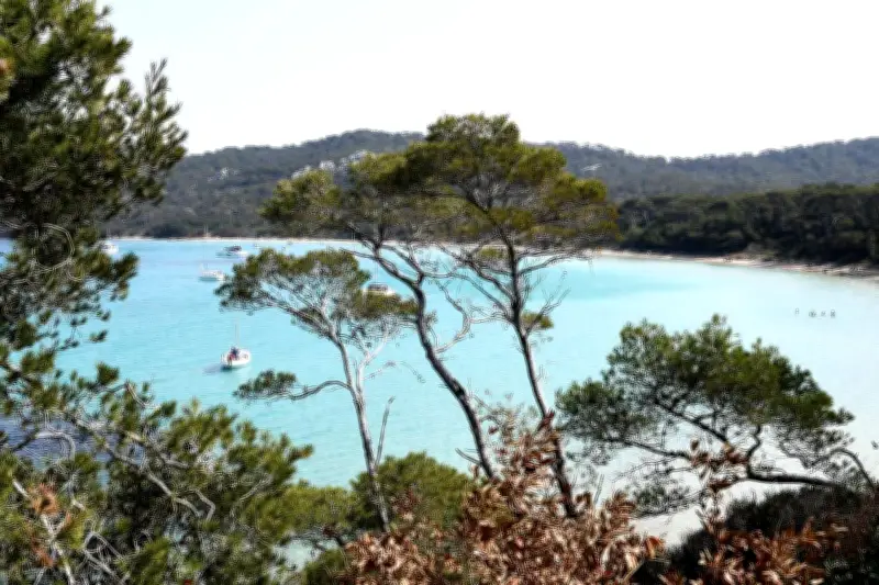 Plongeur disparu à Porquerolles : interdiction totale d'activité autour de l'épave du Donator
