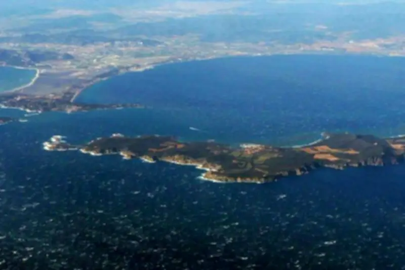 Plongeur disparu à Porquerolles : les recherches se poursuivent