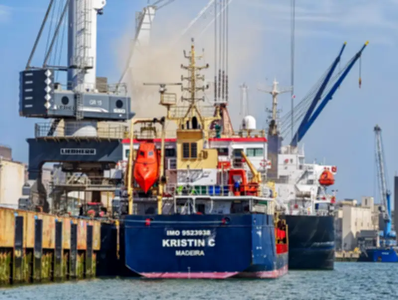 Pollution sonore sous-marine : une menace invisible pour la biodiversité