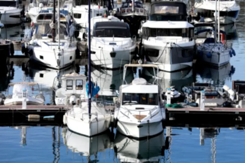 Port Camille-Rayon: projet de vente à un milliard d'euros