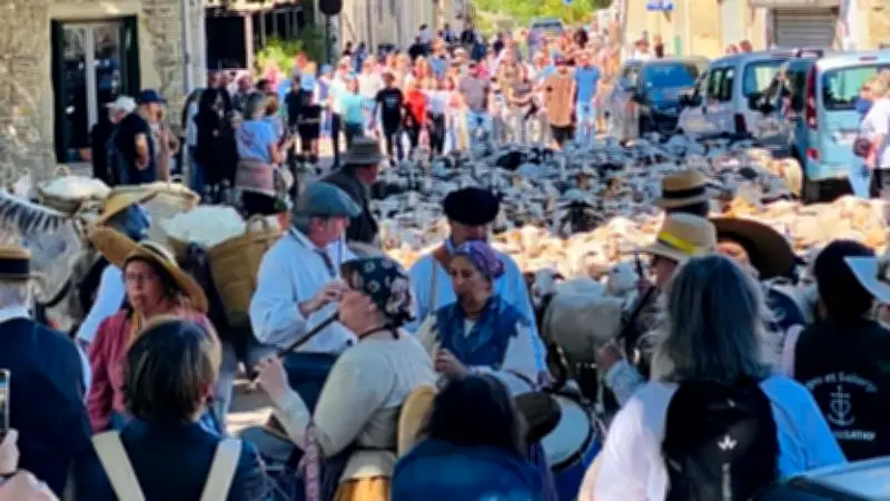 Première transhumance festive à Nages-et-Solorgues avec 250 brebis