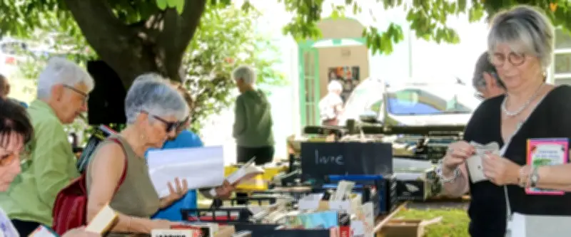 Printemps du livre d’Alès : 6e édition conviviale sous les arbres