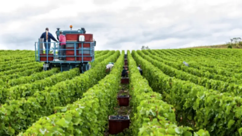 Projet de loi agricole : eau, élevage, pesticides en six points